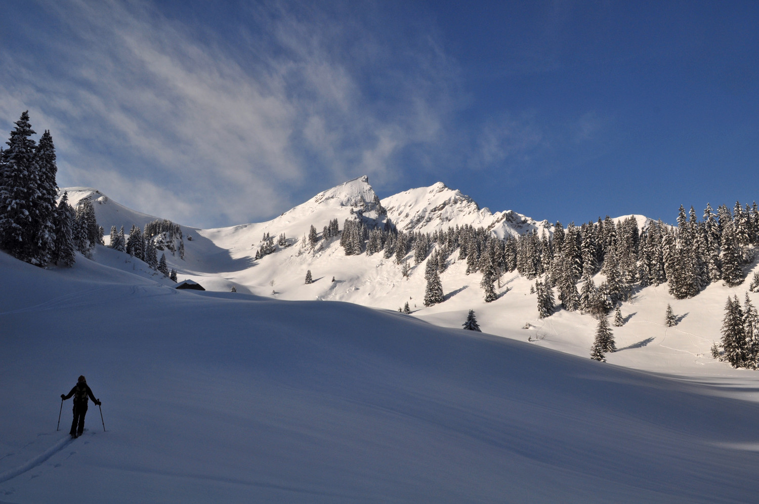 On entre dans le vallon de la Torrens