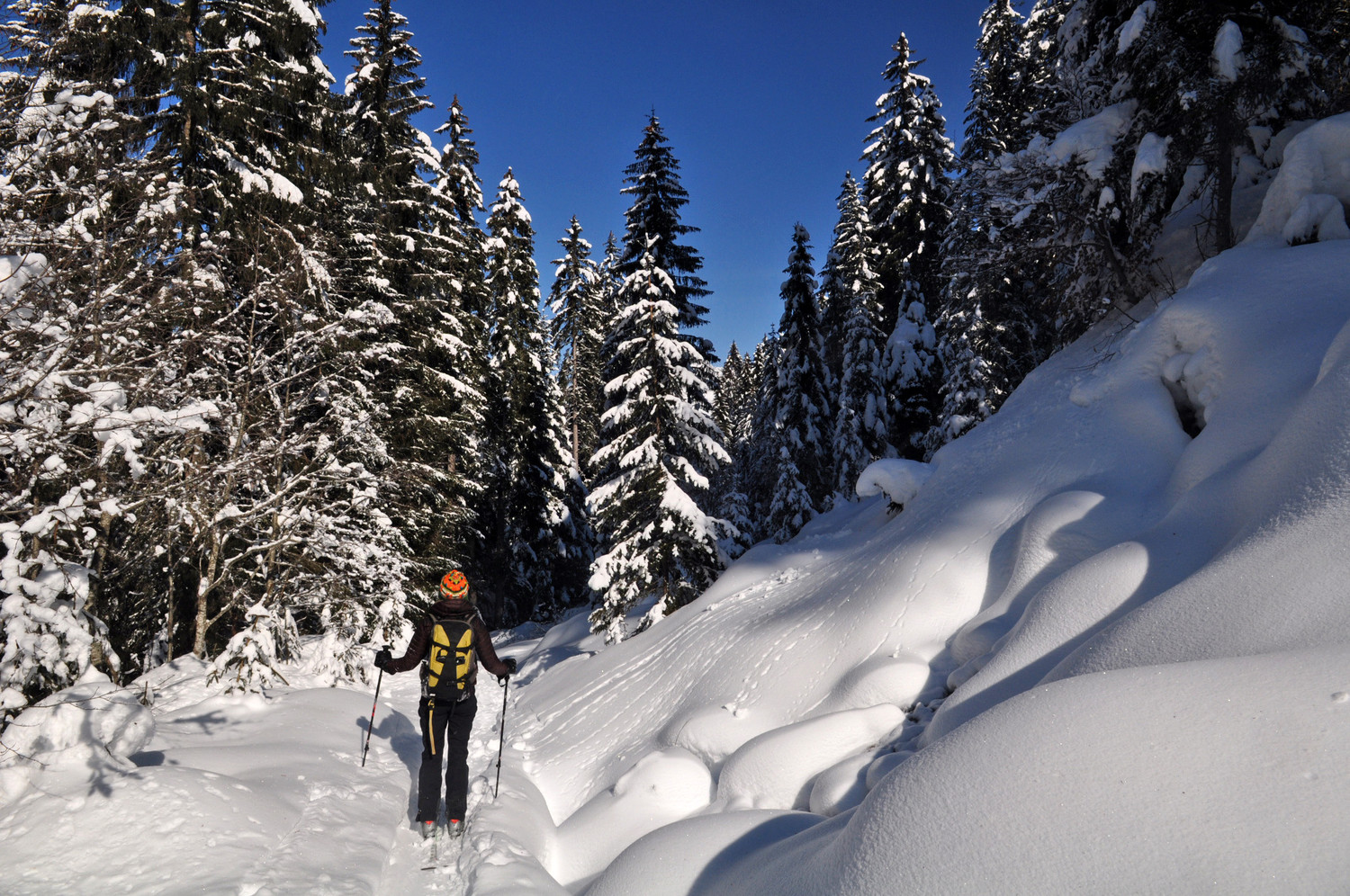 retour RD du torrent des Mottes
