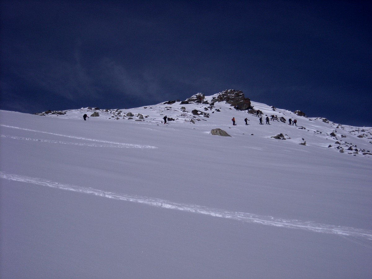 quasi al colletto e la punta