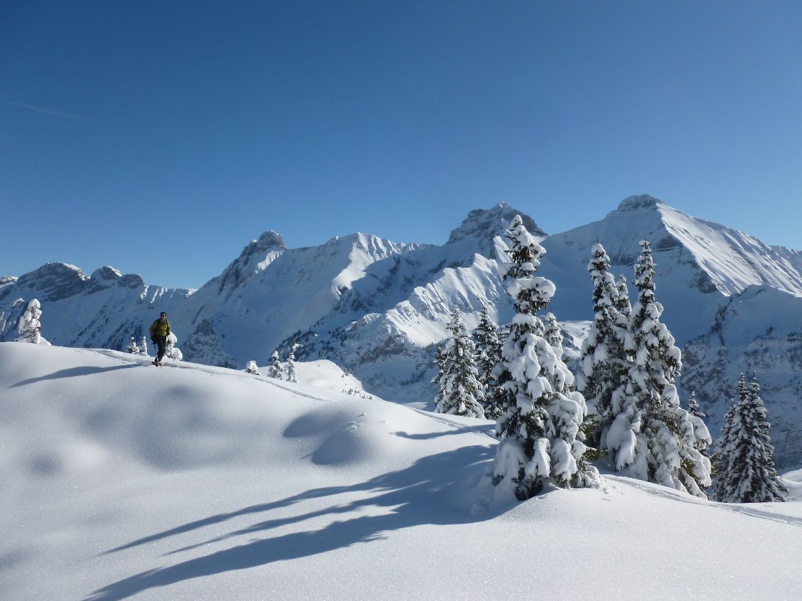 c'est beau