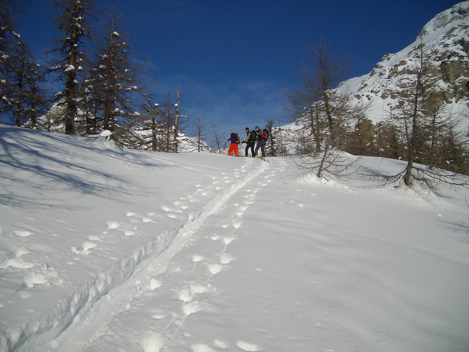 .. nel bosco sembra confermata