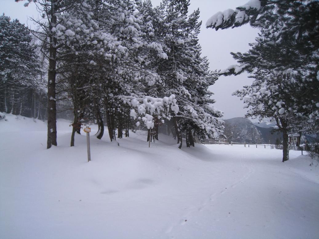 parking à 1200...c'est bien blanc