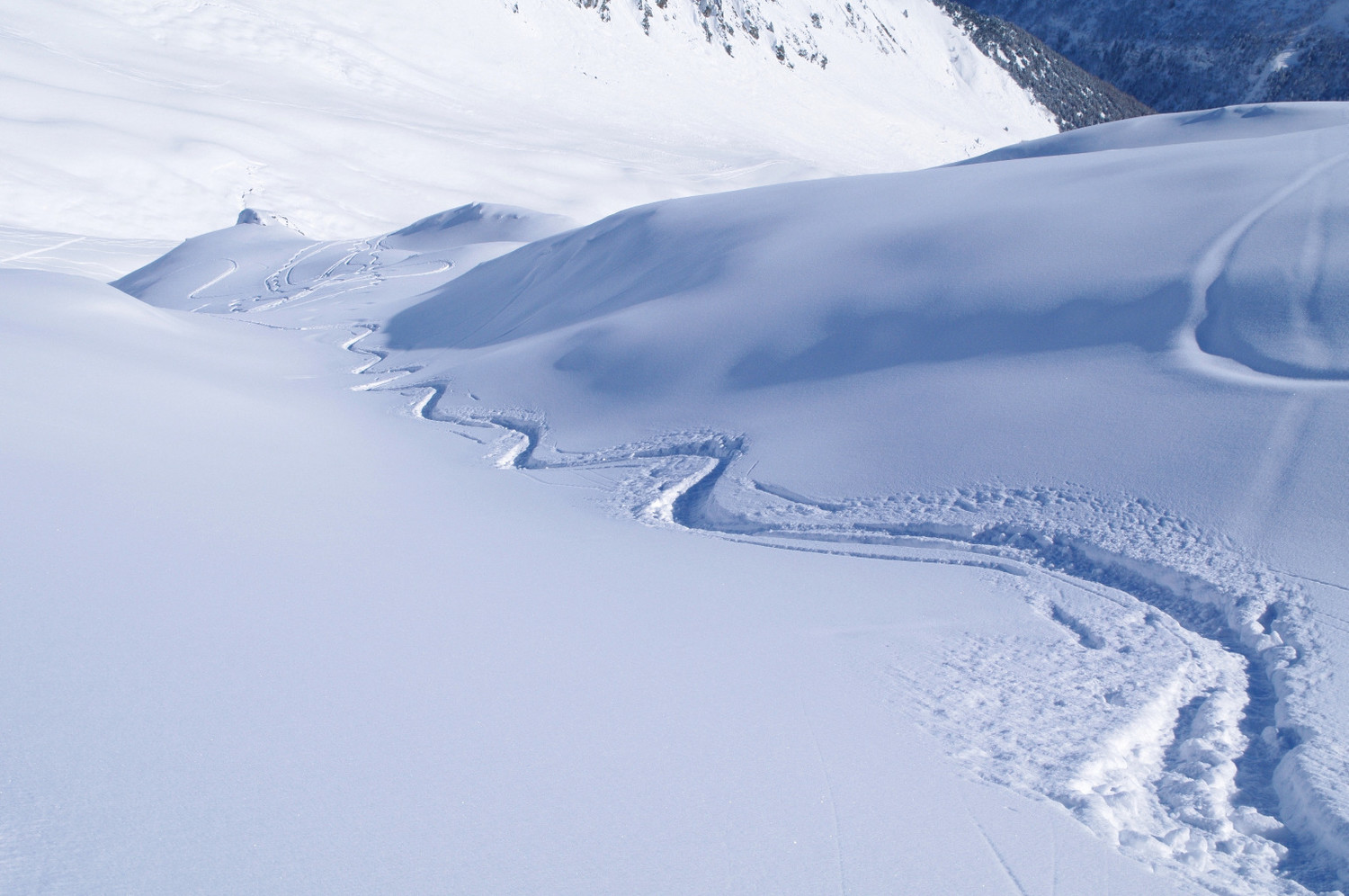 Poudre 6* à goûter dans la combe des Plans