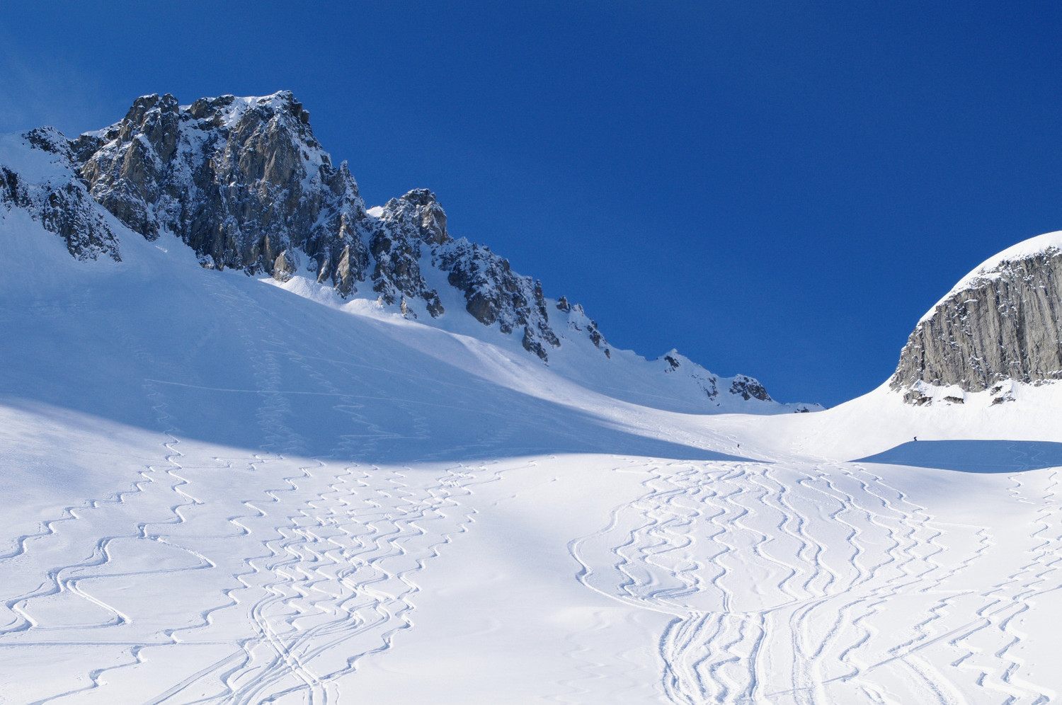 Tout le monde sait skier auj avec les oreilles ;)