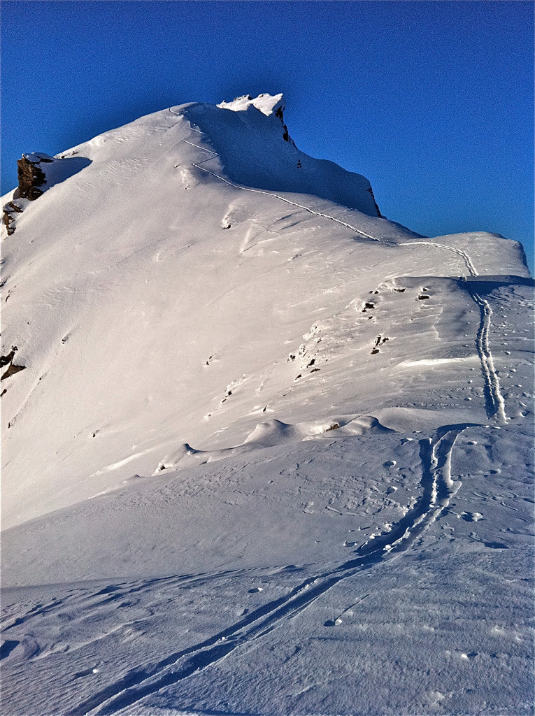 Arête sommitale un peu après le sommet d'été 3139, Sasseneire, fév. 2012