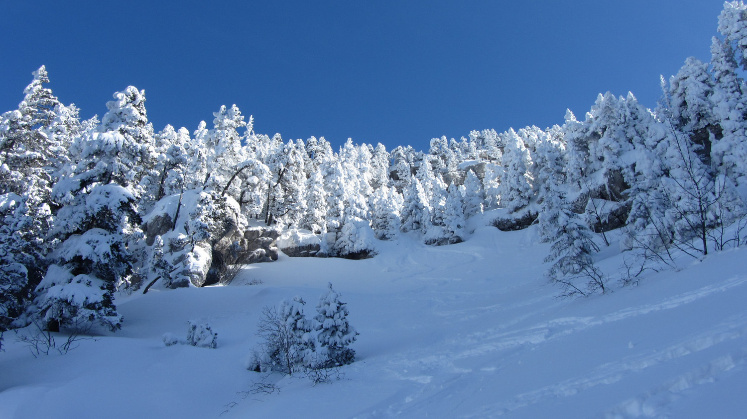 ... and clouds of white...