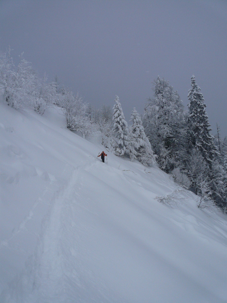 Traversée du pré de la Blonnière.