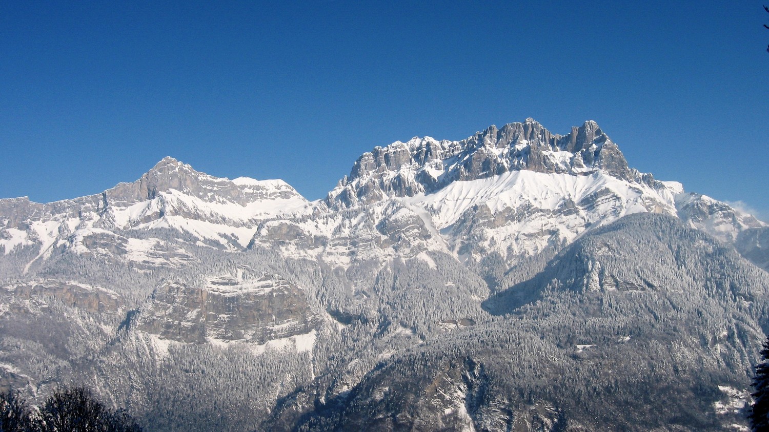 Beau paysage d'hiver