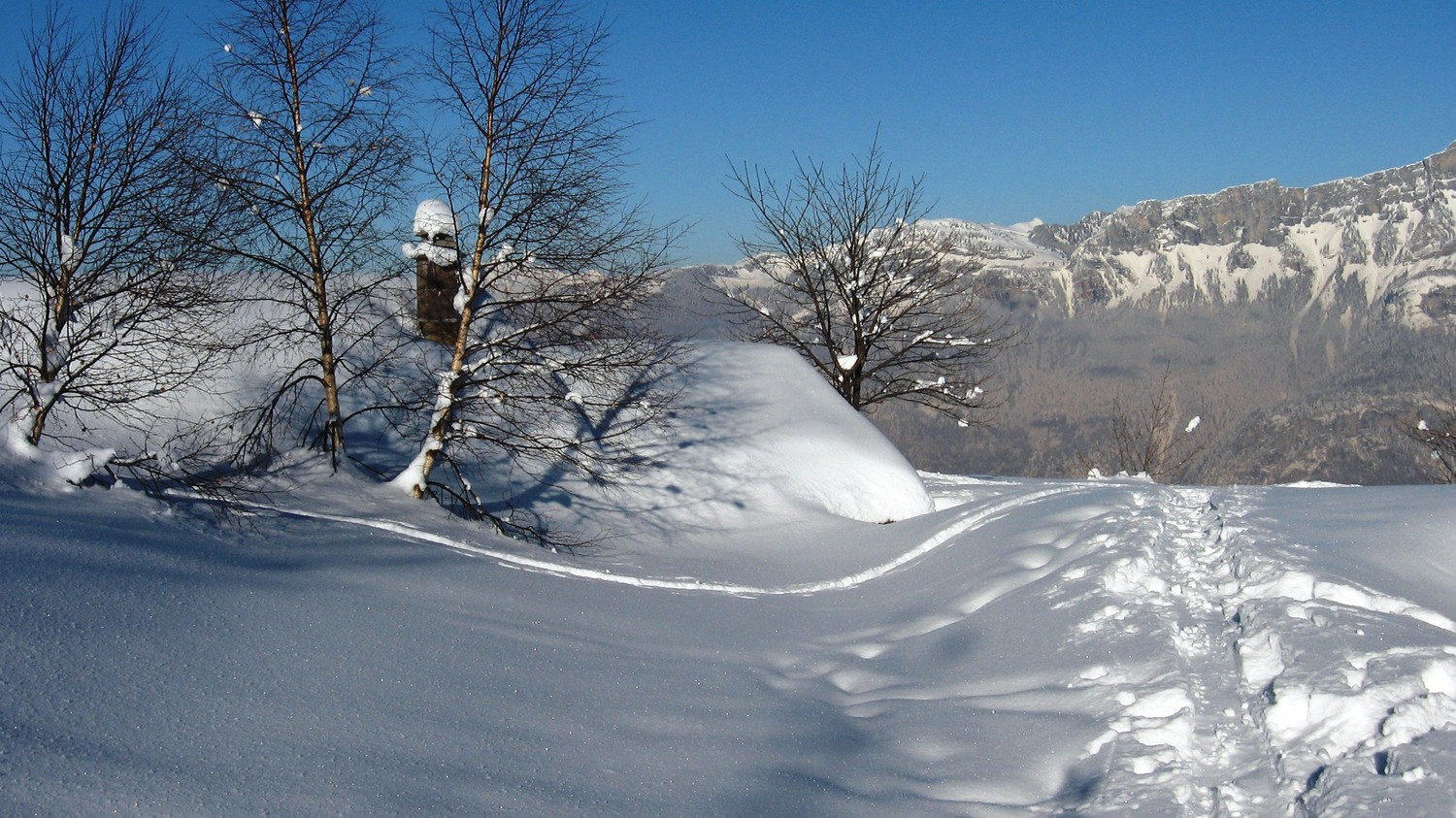 Bel enneigement, bis...