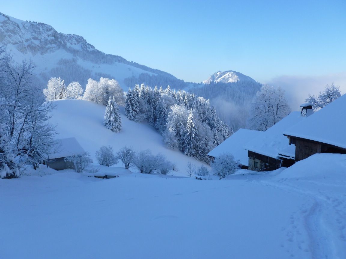 il fait froid
