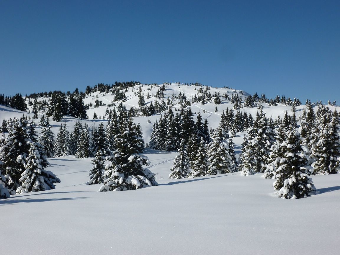 paysage reposant
