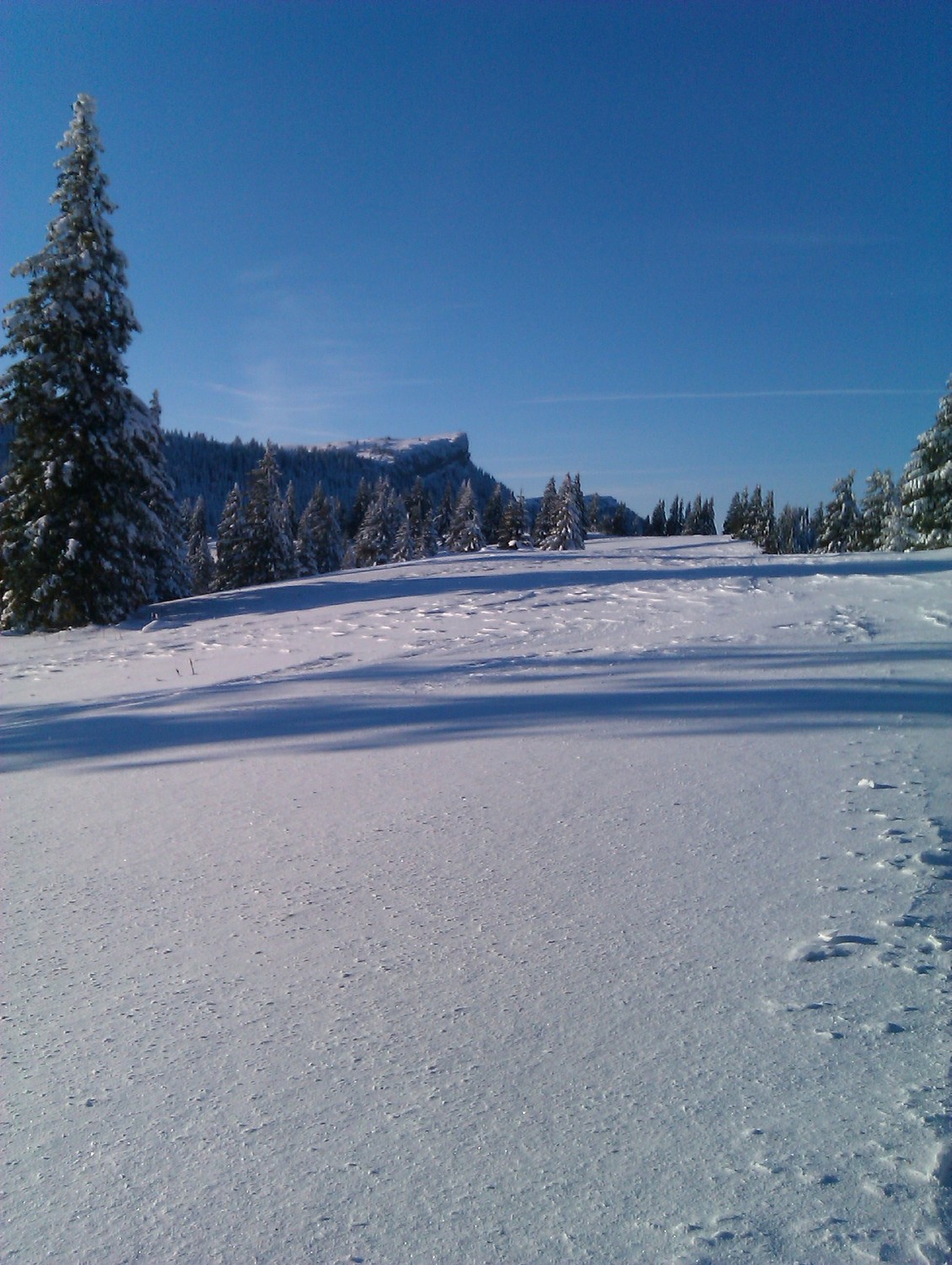 vue sur le Chasseron