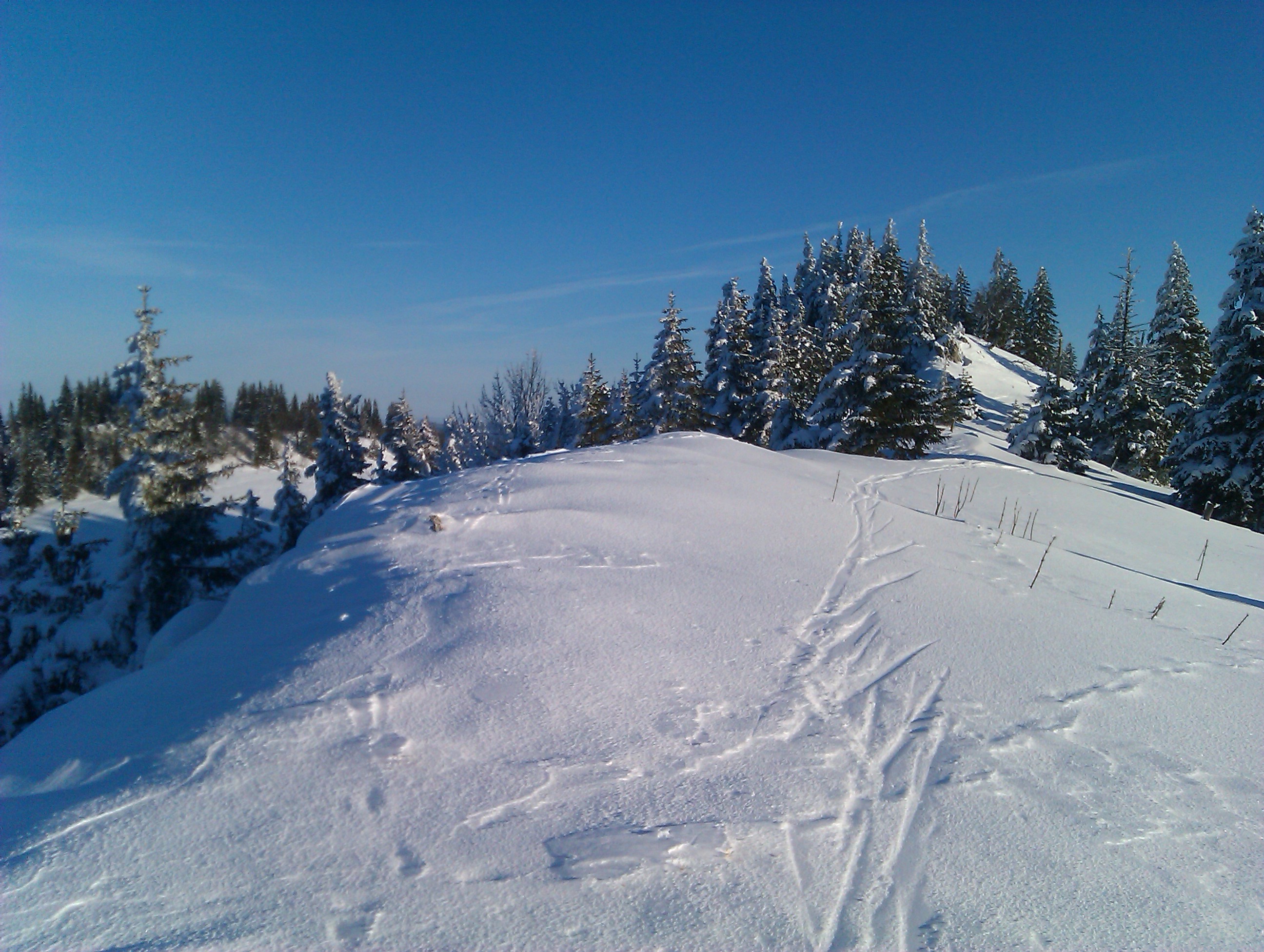 Chasseron : Traversée Les Rasses-Chasseron-Buttes et retour par le ...