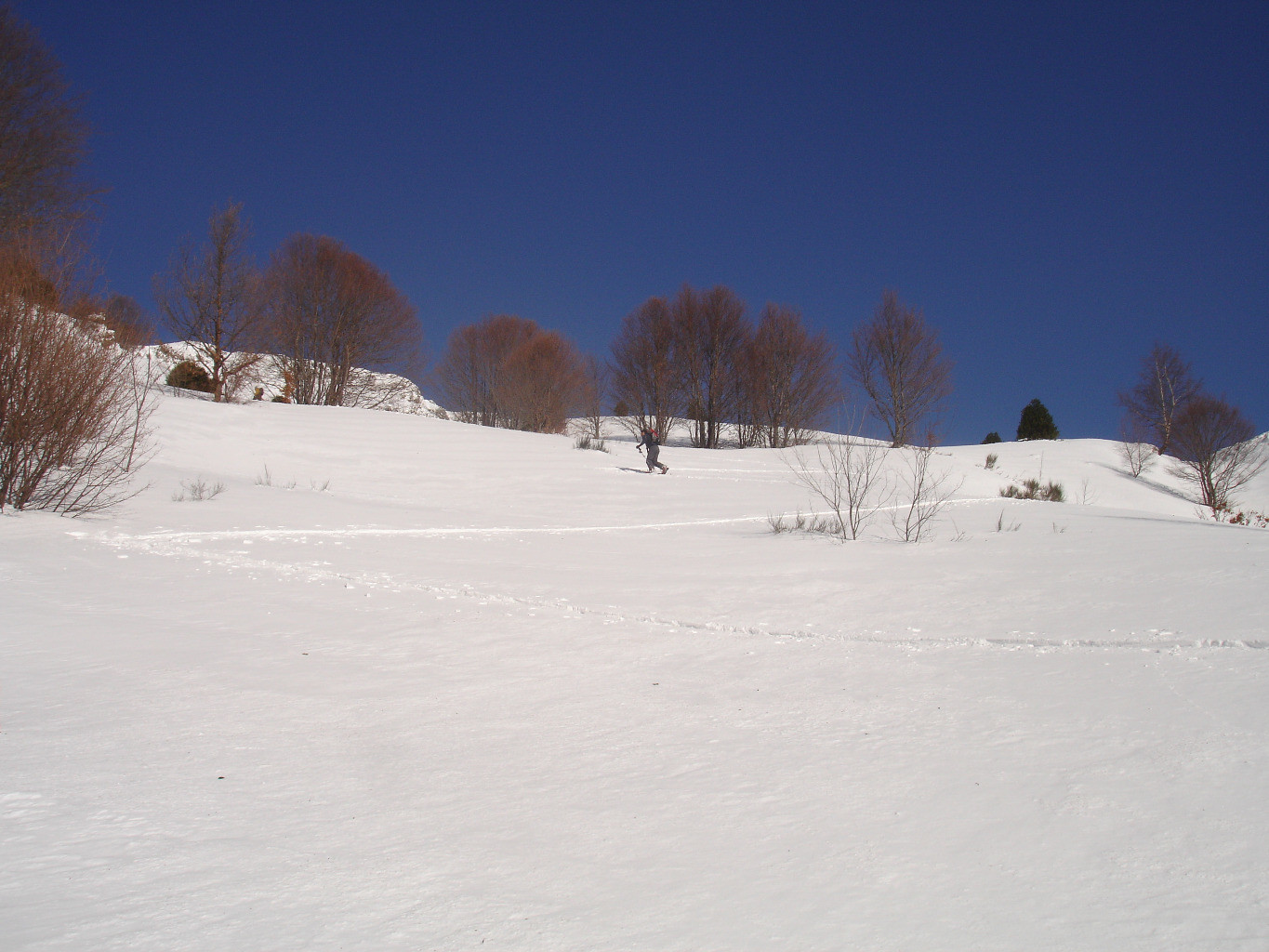 Cherchez le Guide ! Des assoiffés de neige fraîche !