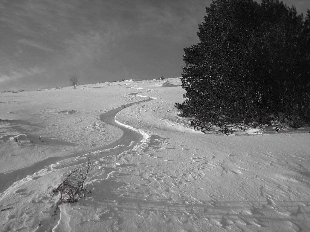 ça glissouille