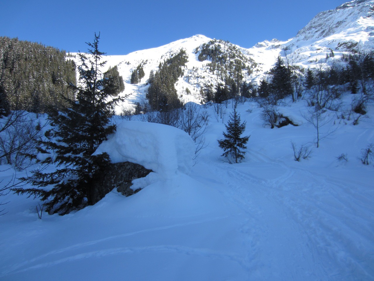 sortie de la forêt vers 1600m, la neige ne manque pas encore