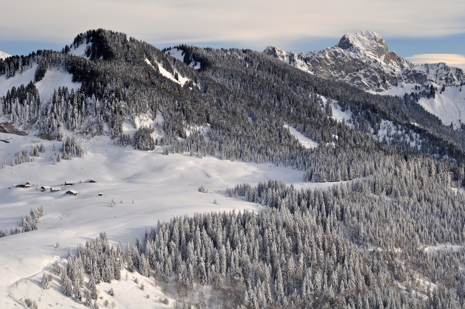 Haute Pointe