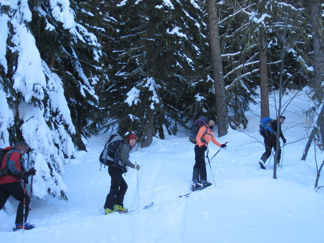 Montée vers l' Ergischhorn
