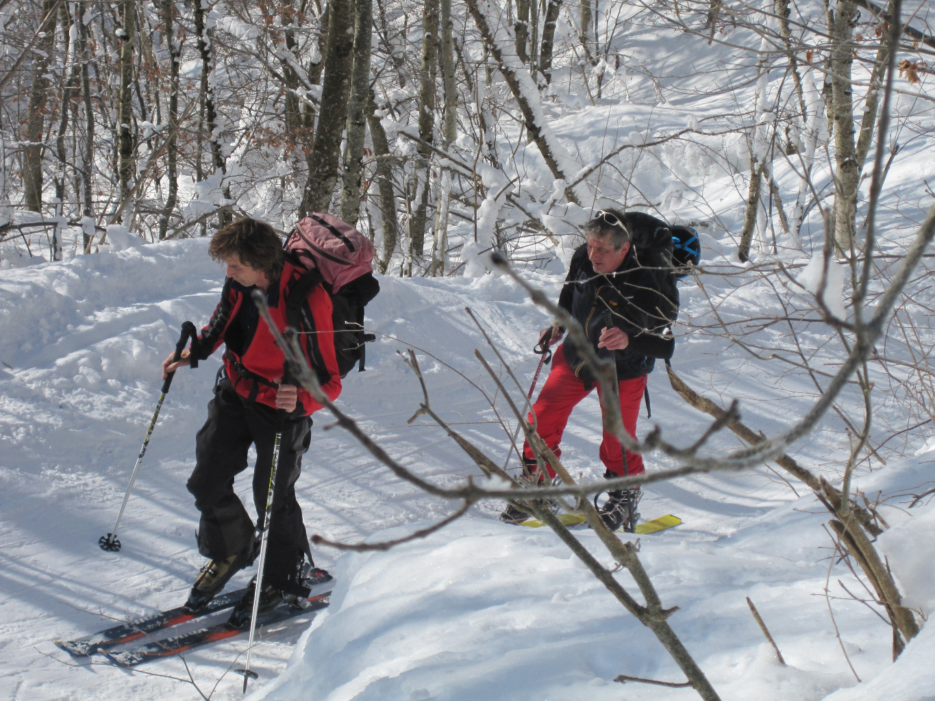 Dans le bois vers 1200m