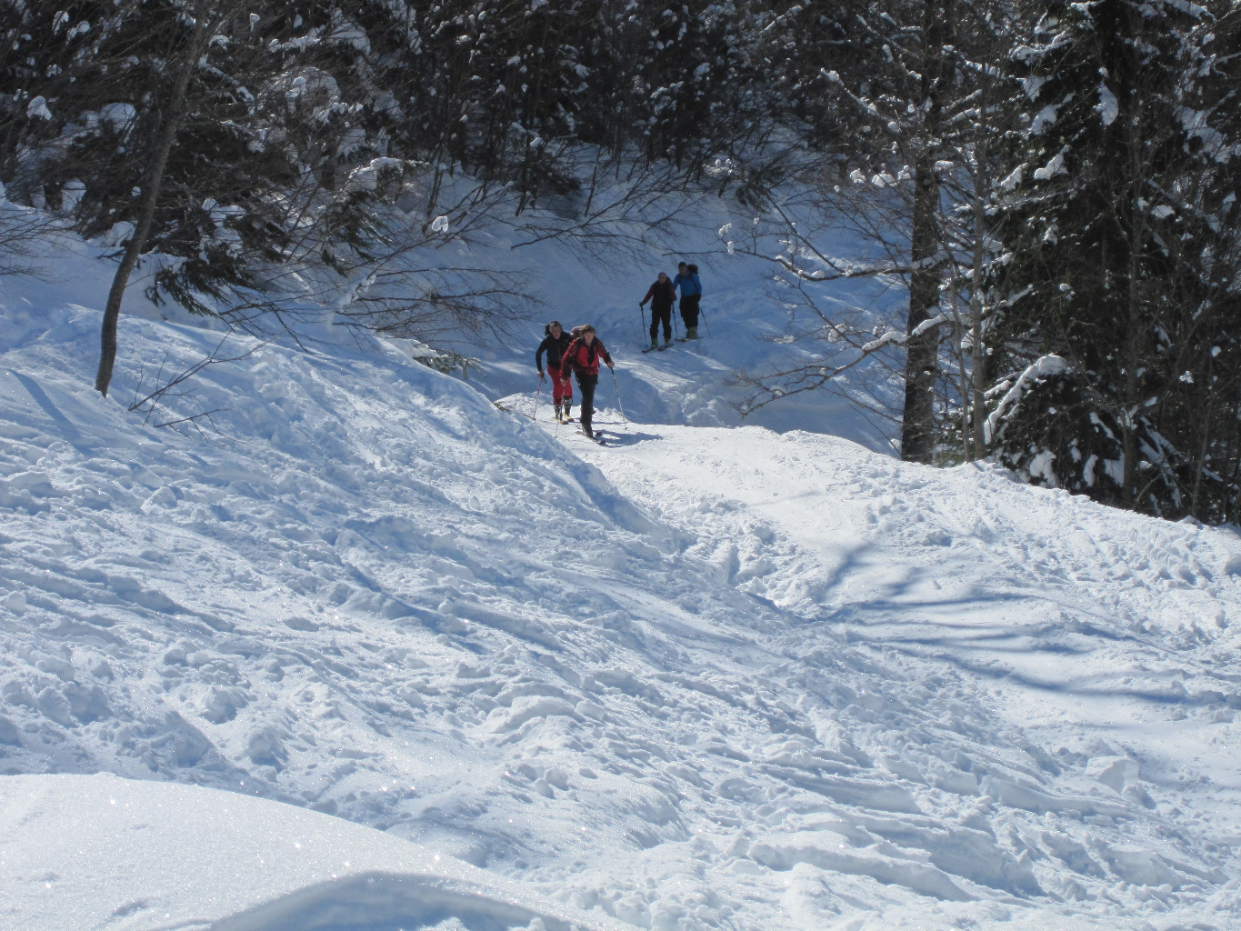 Sortie du bois, ouf ! on est vers 1500m