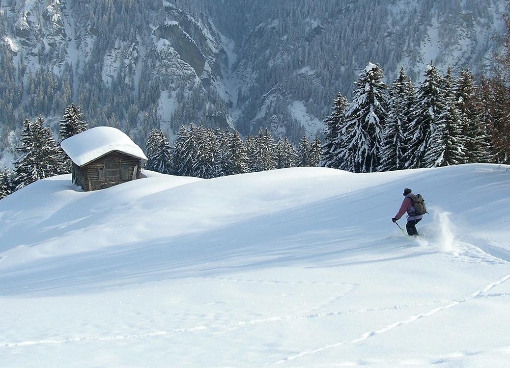 Piz Radun; discesa fra i maggenghi di Bruschgaläschg...