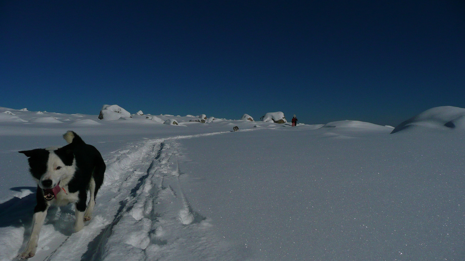 Le grand Nord ....