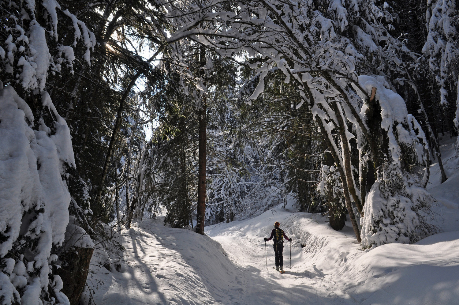 arc en neige