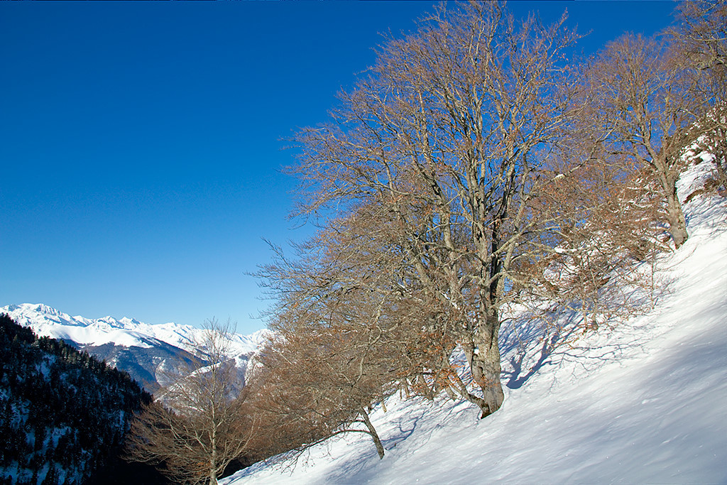 Au-dessus de la cabane de Cuéou