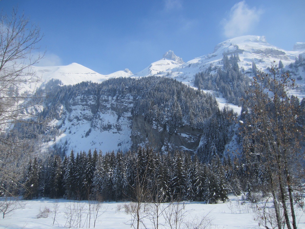 vue d'ensemble sur le run du jour