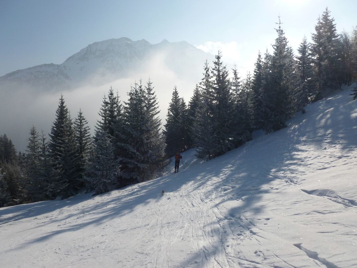sortie de la forêt