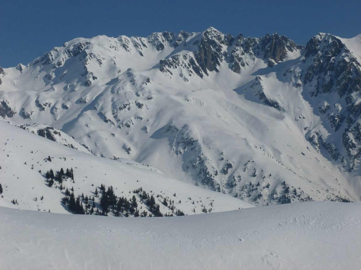 belle étoile