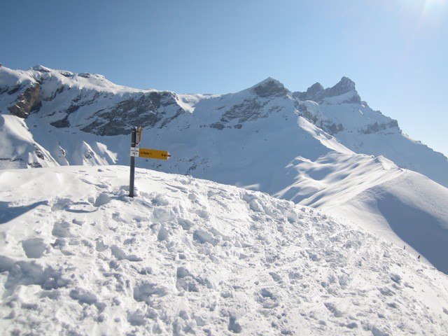 La pointe des Martinets et les Dents de Morcles