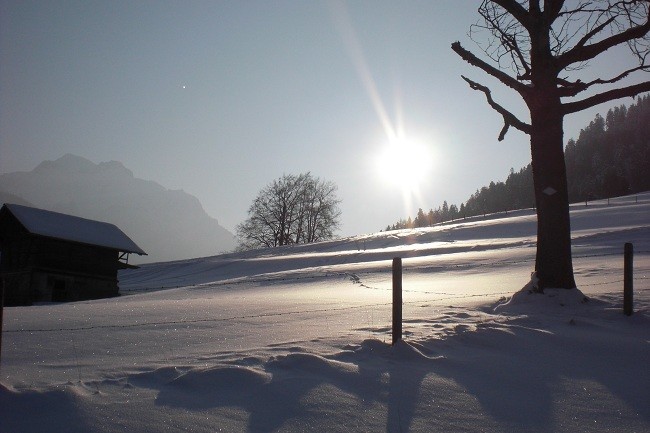 ambiance matinale