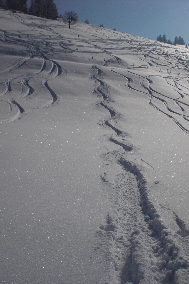 Traces