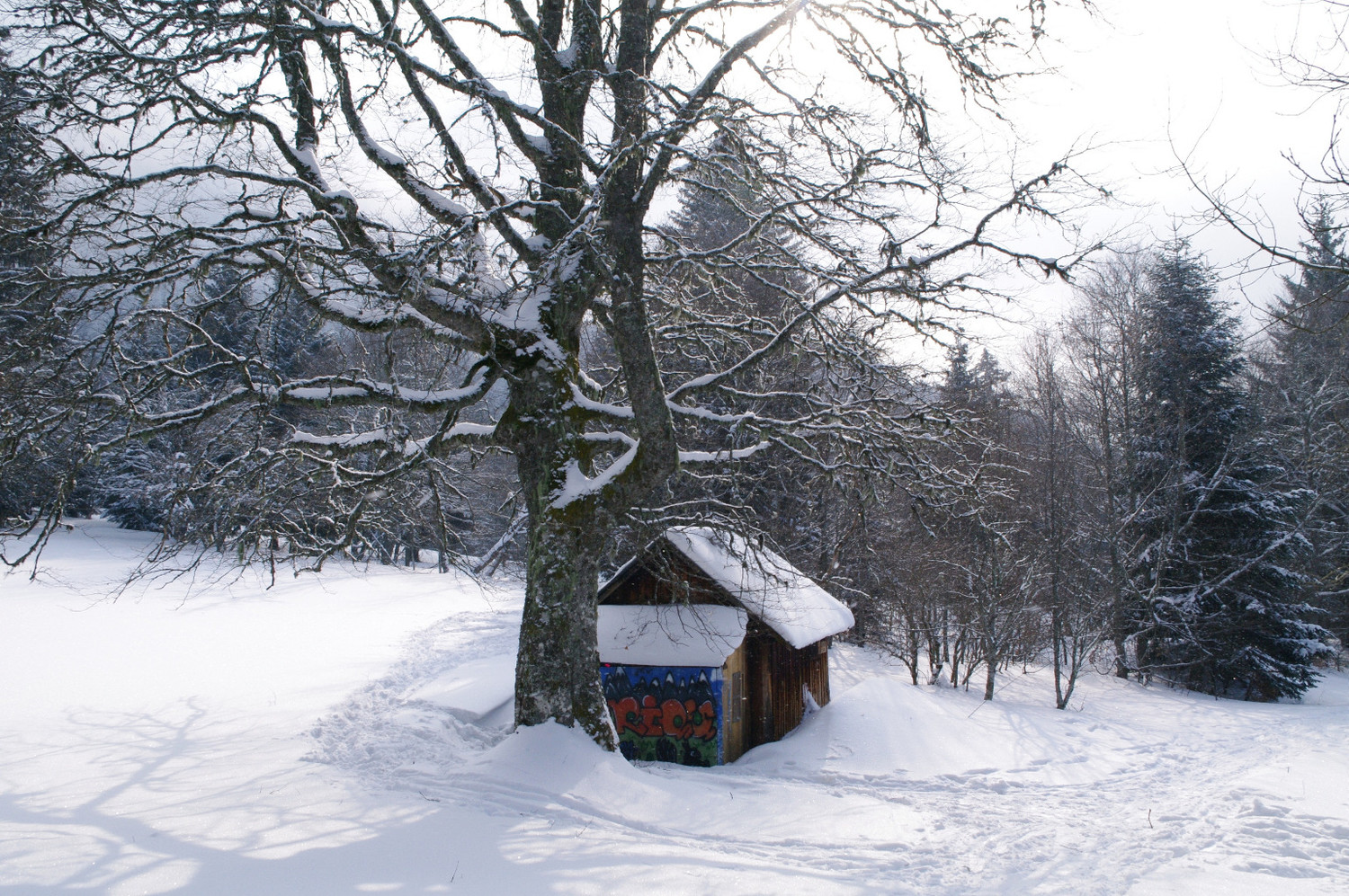 Cabane de Girieux