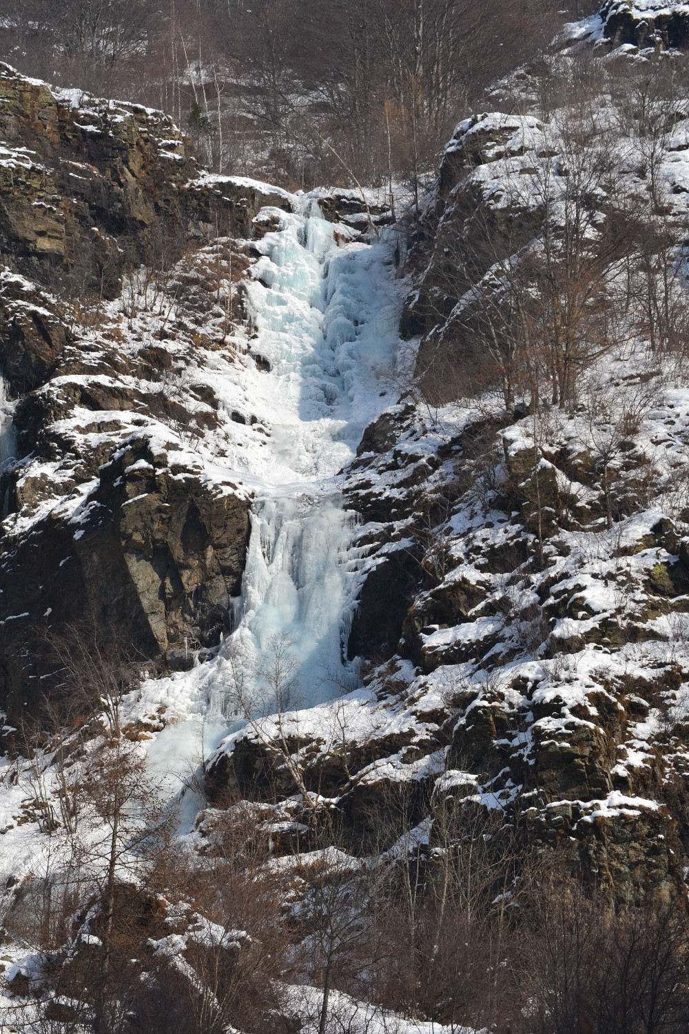 Fée d'Hivers