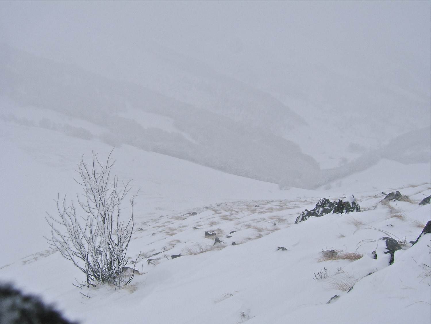 Descente sur le Colle d'Arpiola.