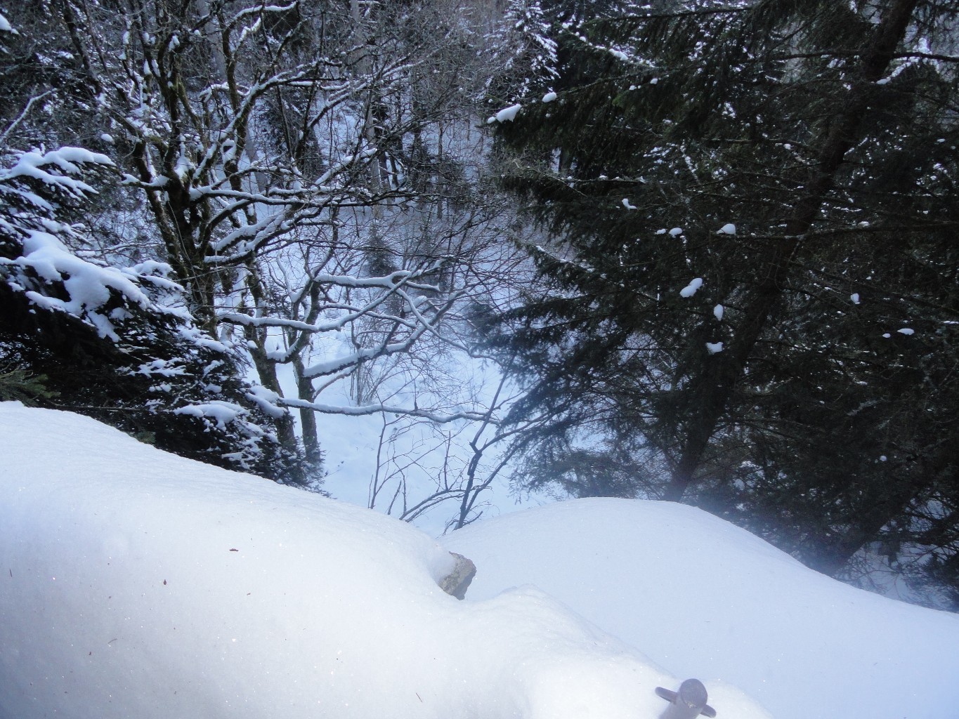 Sentier de roches