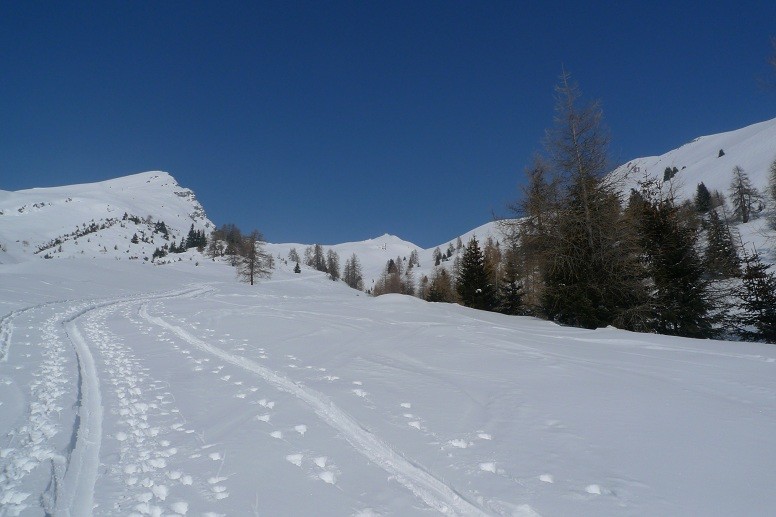 Traccia di salita quota circa 1880mt: deviando a dx si raggiunte Wiesenalp
