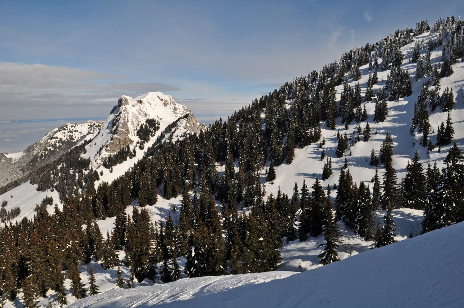 le billiat se pointe au-dessus de crève-coeur