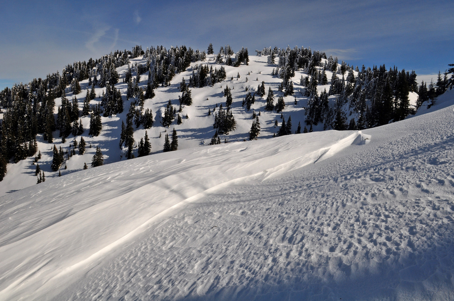 haut le coeur-crève