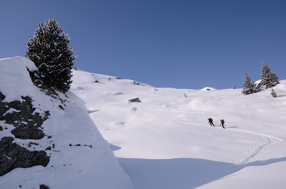 caratteristico pesc adagiato in cima a una roccia