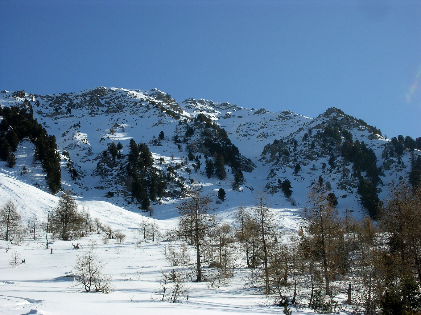 le couloir vu de la forêt