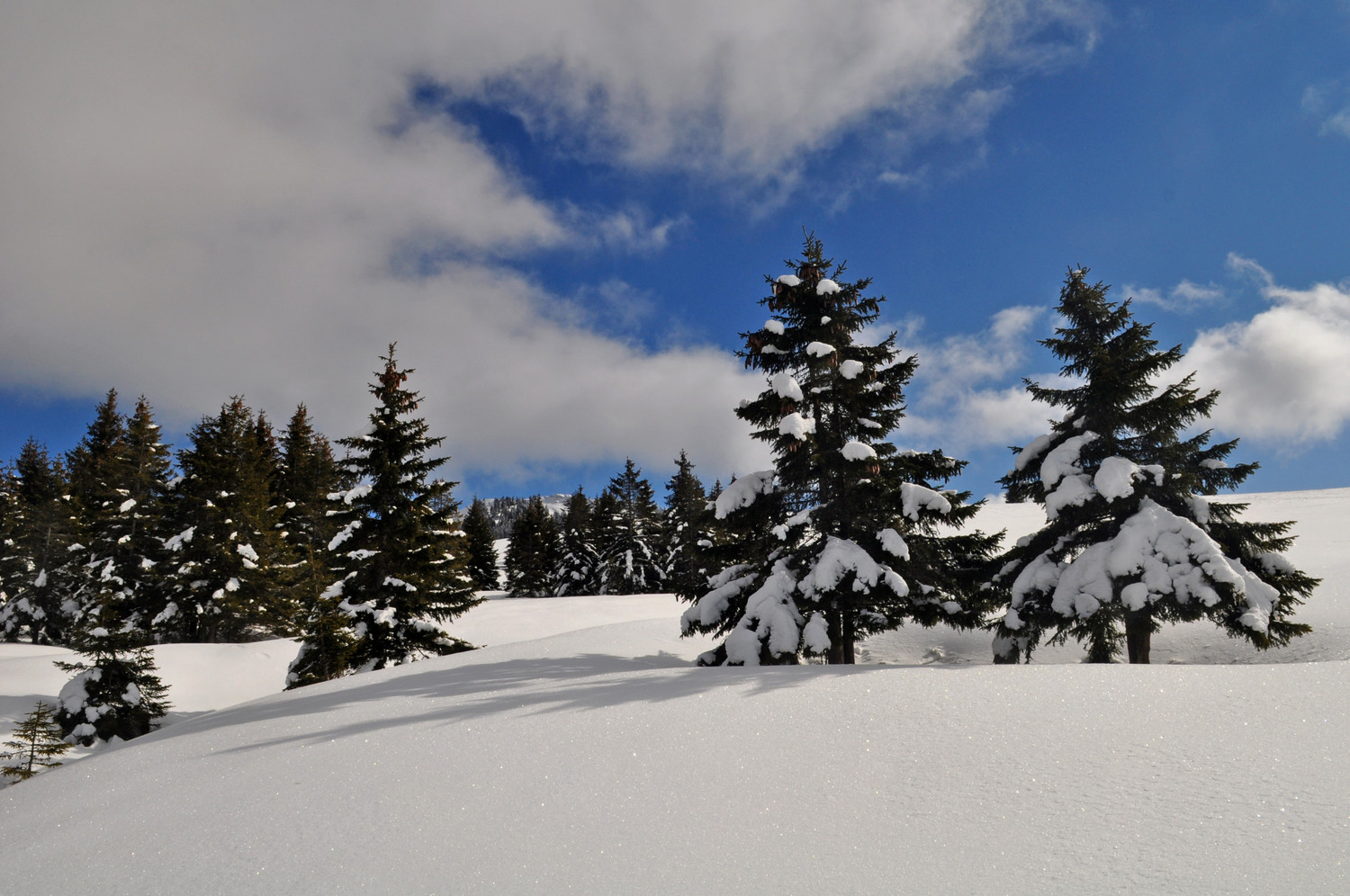 vers le Vallonnet