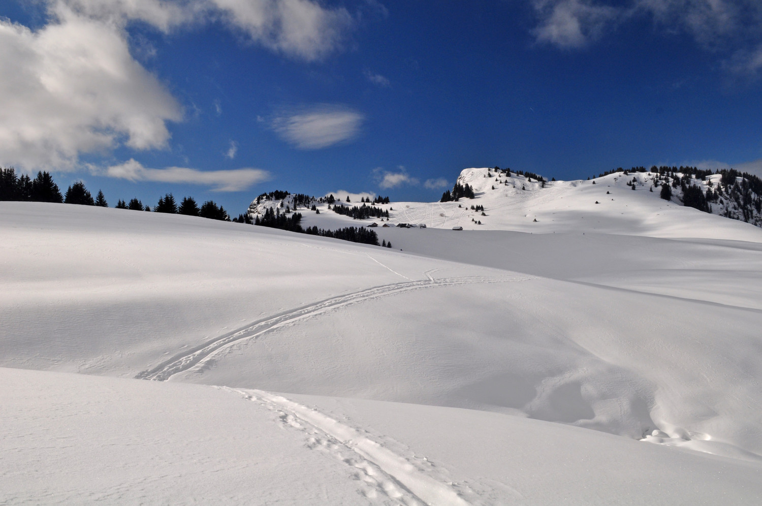 Sur la pointe des skis