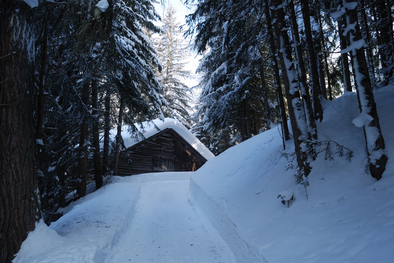 Un fienile durante la salita verso Plaz Beischen 1534m