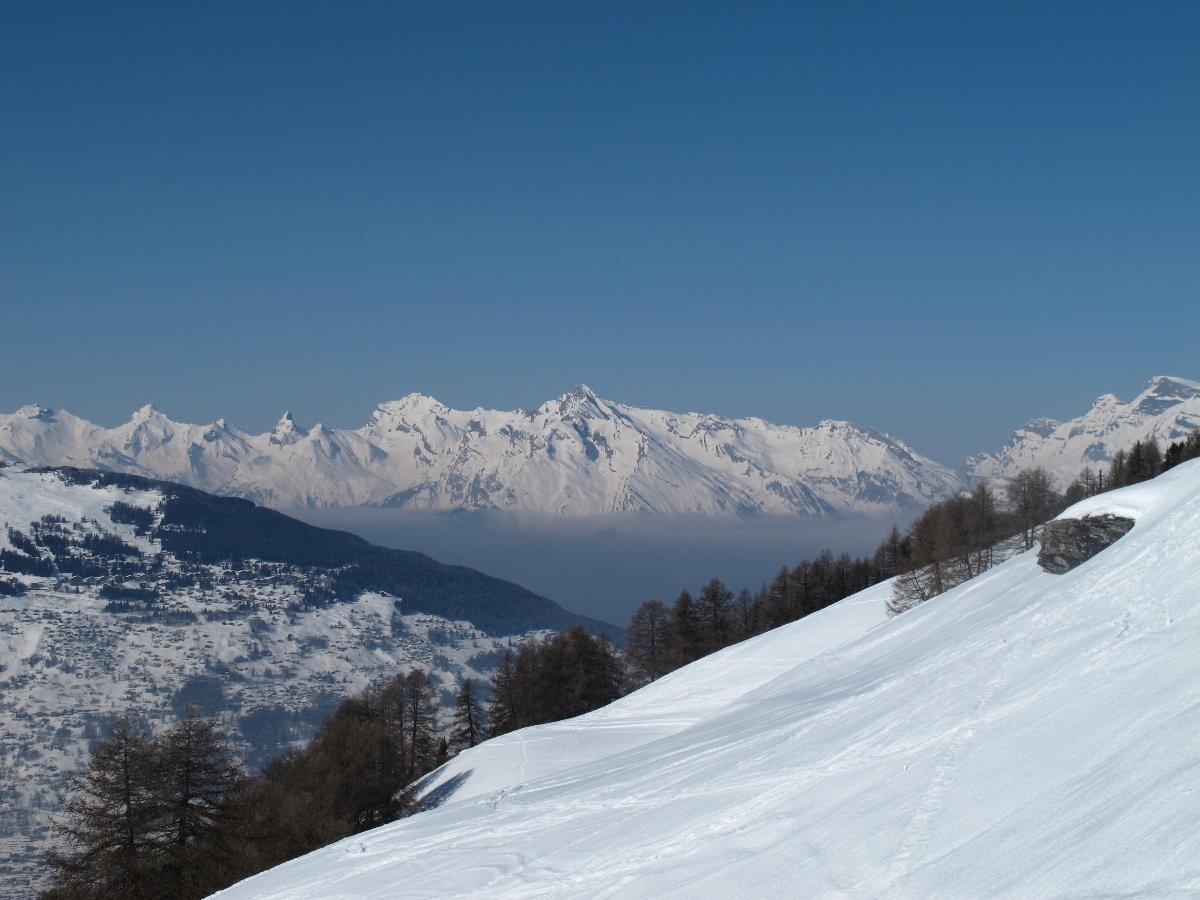 Muveran et Cie