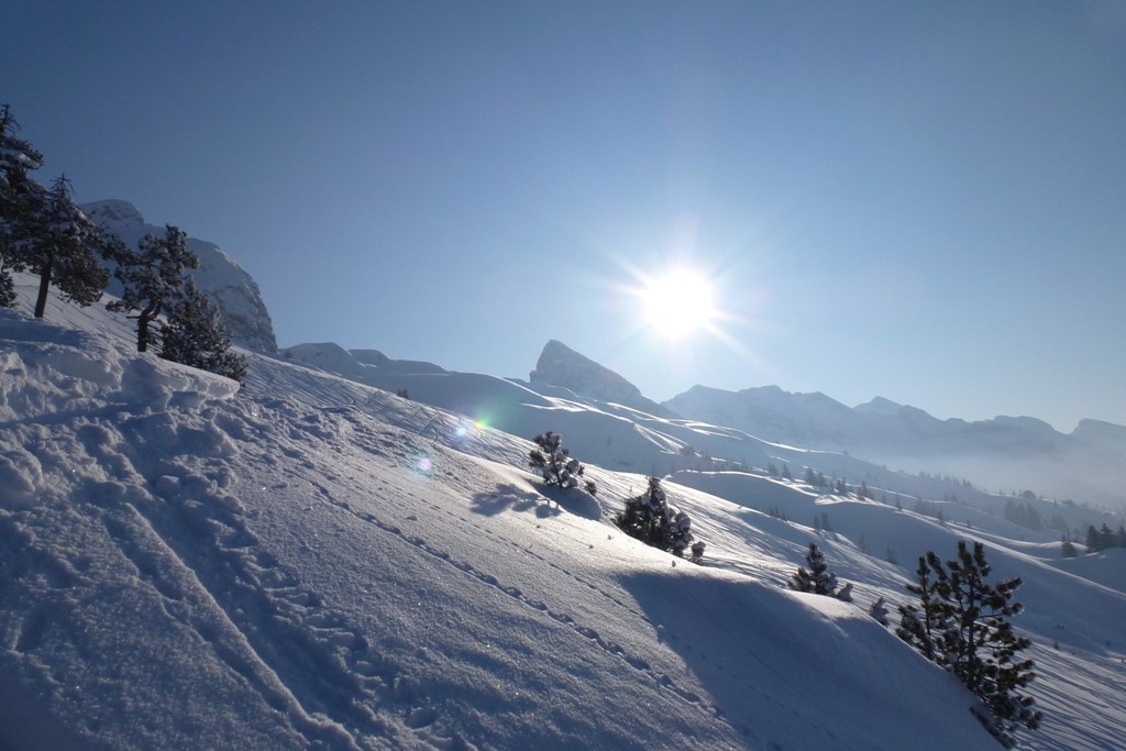 Esposizione a N ma con il sole
