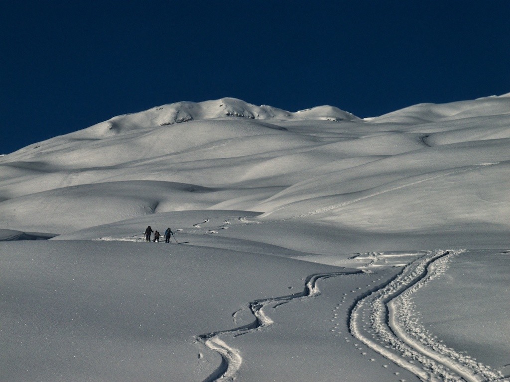 Hofer Alp