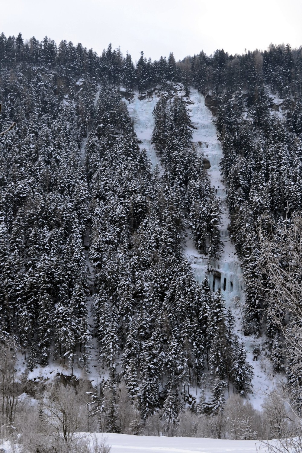 Le tube dans la forêt - Y de gauche